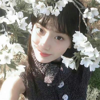 粉黛迷春